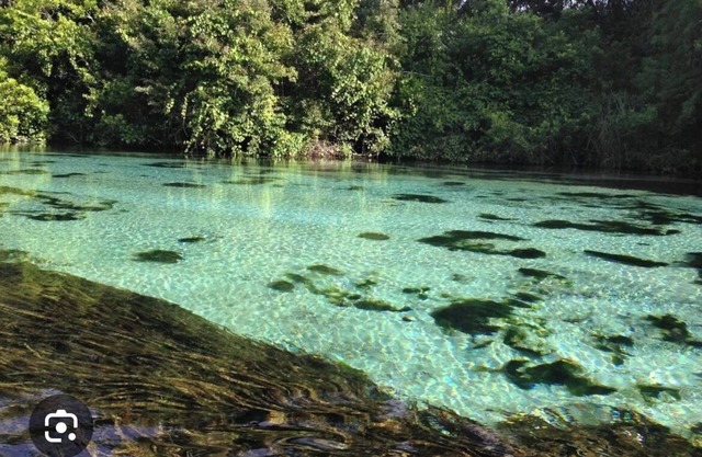 Rent Cottage and/or RV site 37ft ' Fish, Kayaks, Fire Pit, Dock, Beach, Swim