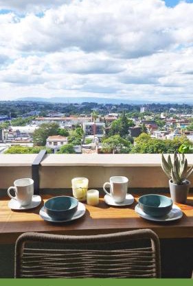 Rent for Days - Mono Zoe