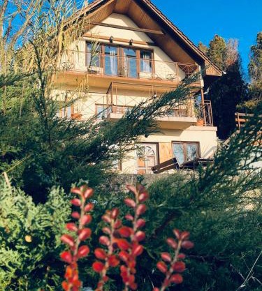 Repülőhal Apartmanház