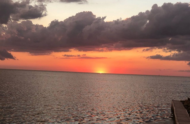 'Rest Ashored'- Charming Beach Cottage- Incredible location-Pet Friendly!