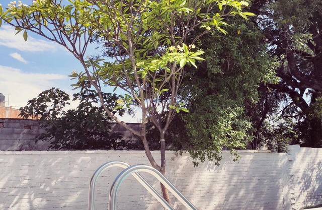 Resting house with pool! near the Media Luna Spring