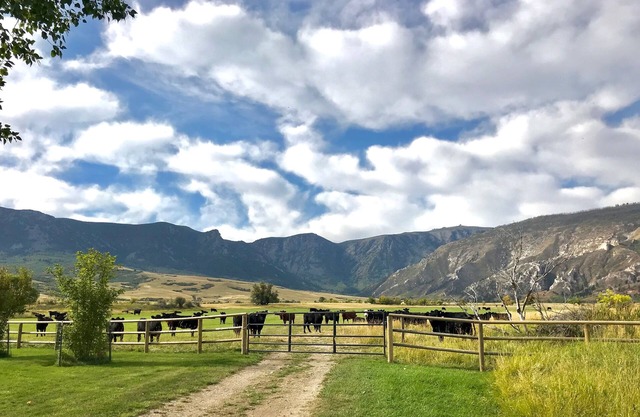 Retreat in Quiet Comfort nestled in at the base of the Big Horn Mountains