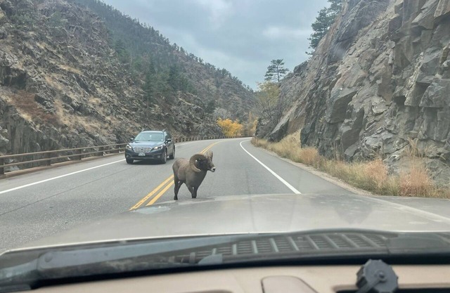Retro yAy frAme cabin by Estes park