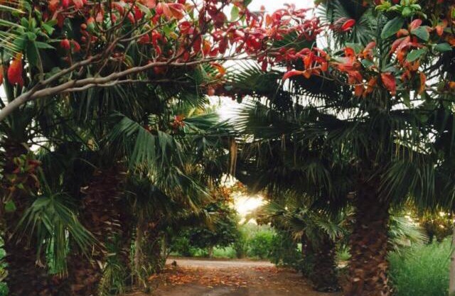 Revaloo farm (Family Only)