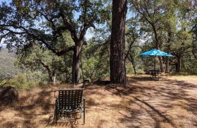 Ridgetop Oasis in the Sierra Mountains