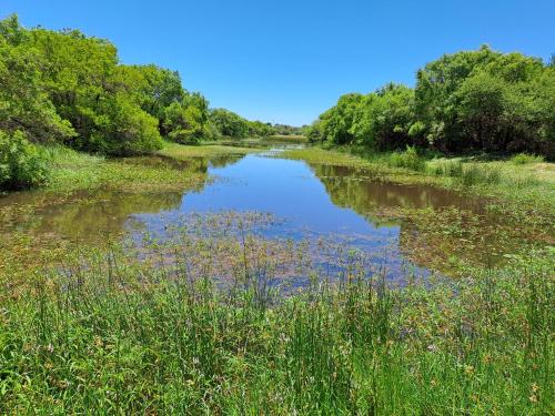 River Ridge Log Home - Inside Dinokeng Big 5