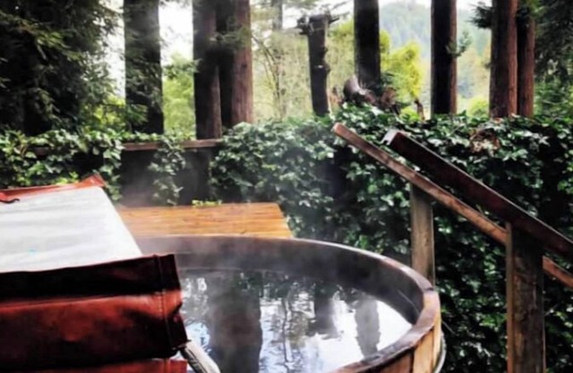 Riverview Treehouse with Hot Tubnn