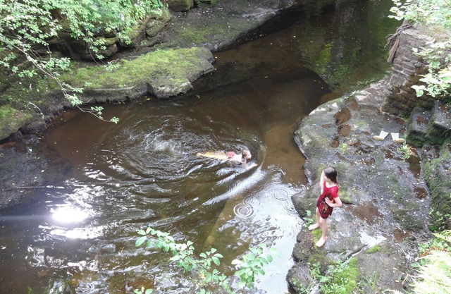 Romantic, Quirky, Barn Retreat, Nestled in Nature with its very own waterfall.