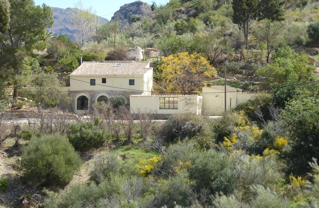 Romantic restored mill house with pool in private gardens. Free Wi-Fi. Parking.