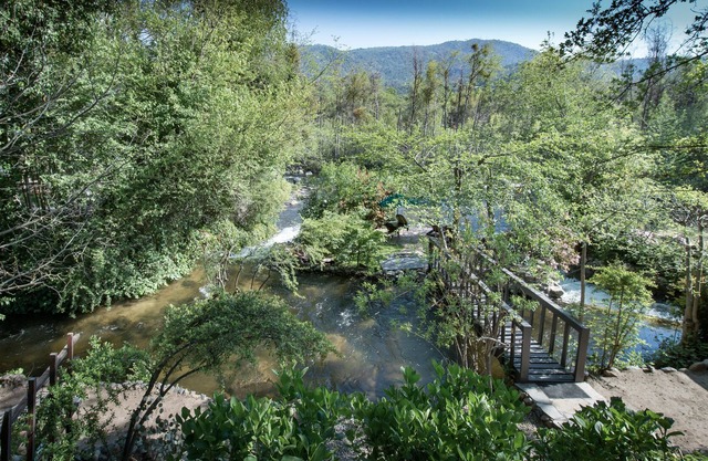 Romantic Riverfront Studio with Private Island + Waterfalls