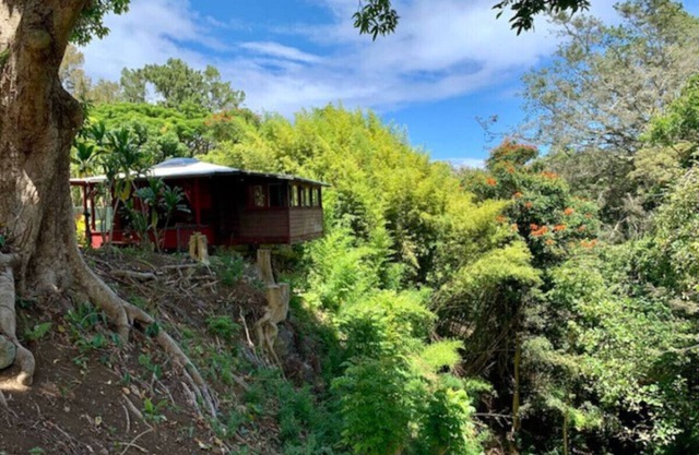 Romantic waterfall cabin in the rain forest