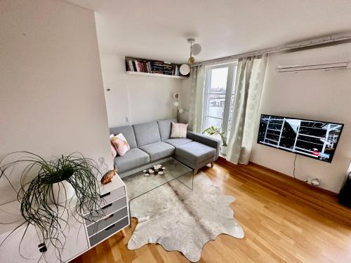 Rooftop appartment