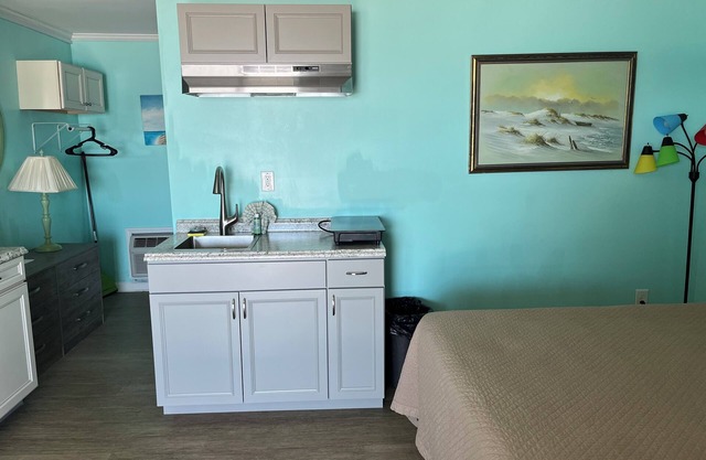 Room #313 Mini Efficiency 2 Double Pets Yes