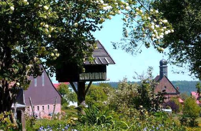 Room 5 - Gasthaus-Pension Zum Brandweiher