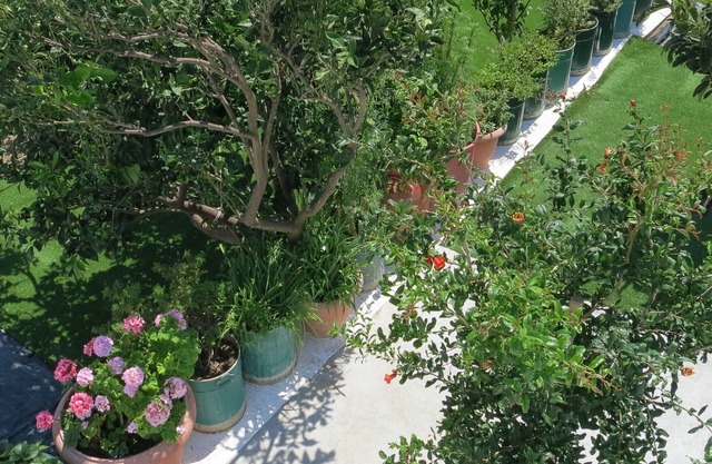 Room-andoni's House in Pitrofos Andros i