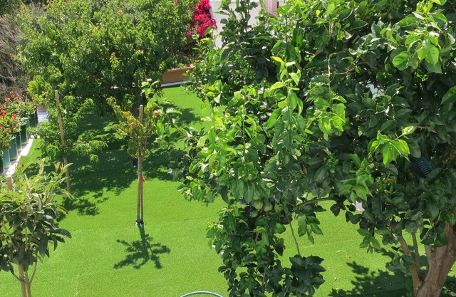 Room-andoni's House in Pitrofos Andros i