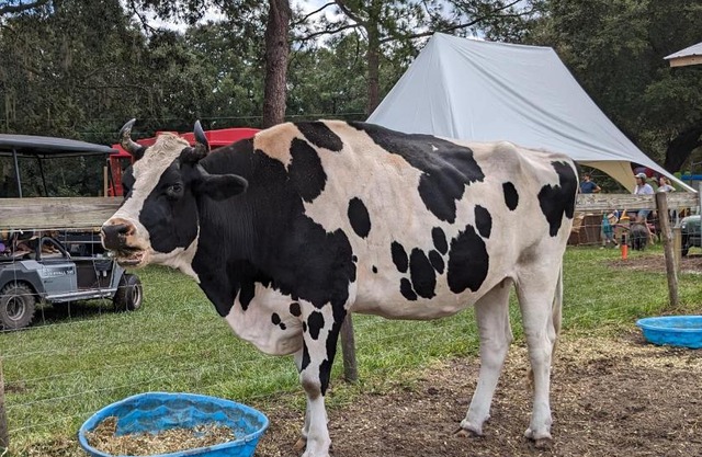 Rooterville Animal Sanctuary