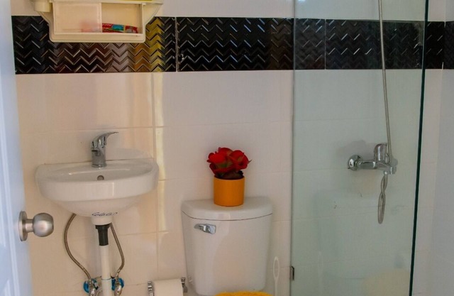 ROYAL TERRACE DUKE V