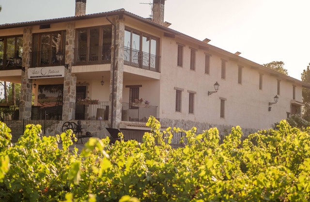 Rural house. The Vitis Inn.