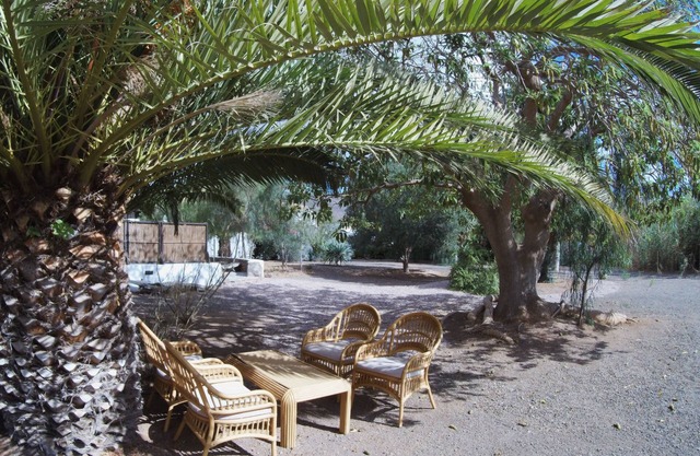 Rural Rugama # 8 Standard