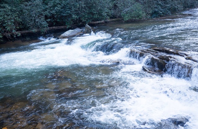 Rushing River Log Cabin in Georgia Mountain Wine Country Near Dahlonega