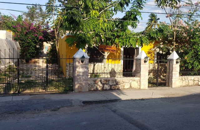 Rustic charm in the heart of valladolid: with regional decoration and hammock