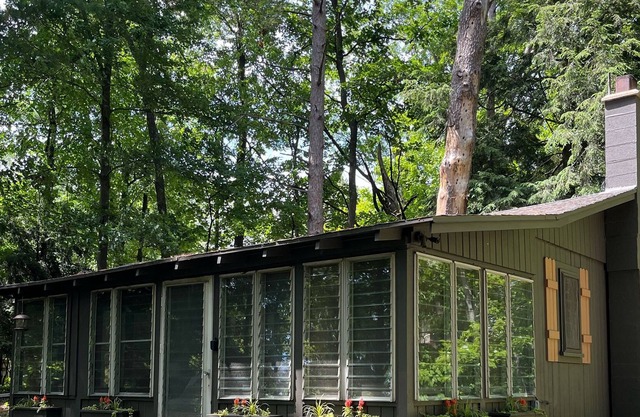 Rustic cottage in the woods close to town.