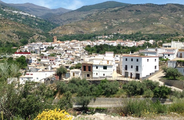 Rustic country home - Cadiar, Alpujarras - Pet Friendly!