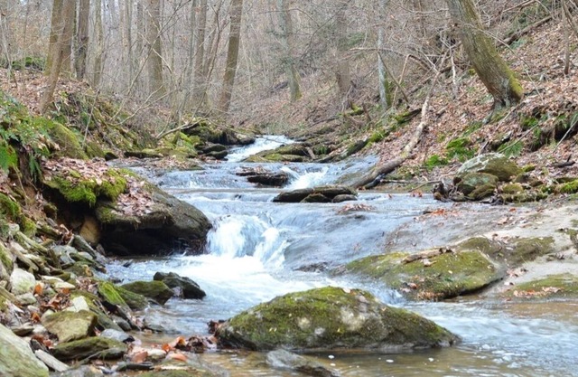 Rustic lodge on 128 acres of natural park and conservation area