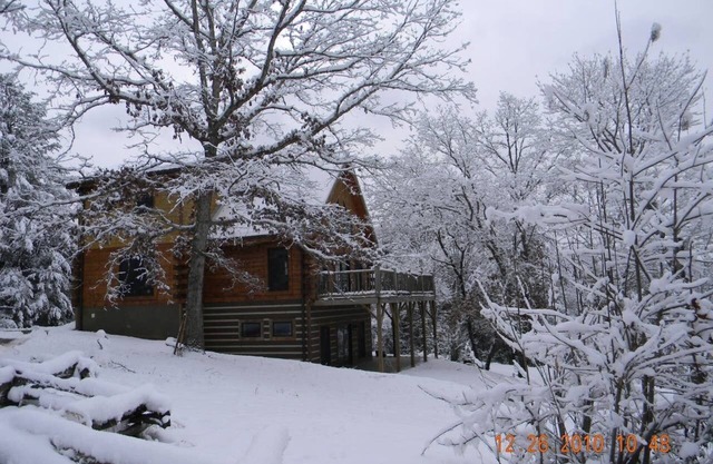 Rustic Log Cabin Nestled Privately in the Woods