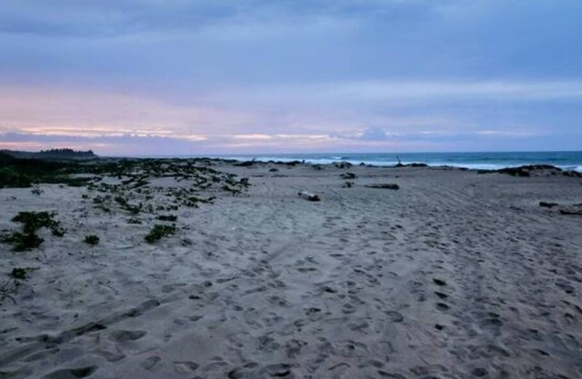 Sabaneta - Hidden Luxury Apartment by the beach