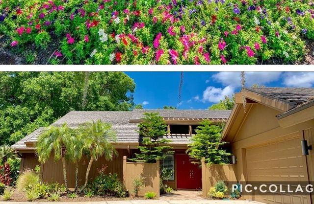 Saddlebrook Resort, vacation in luxury!