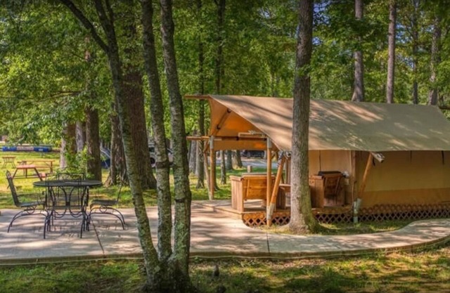 Safari Tent - Unique Safari Tent with Comfy Furniture and a Full Bed!