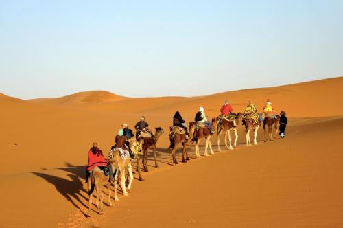 Sahara camel tours camp