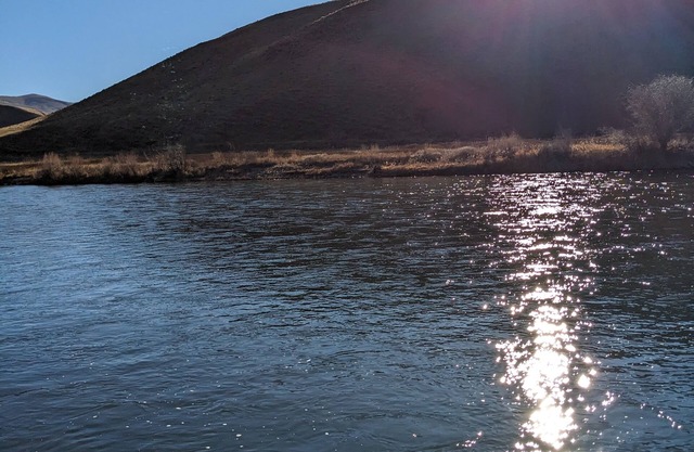 Salmon Riverfront HomenClose to Salmon and Challis. Fishing from back yard.