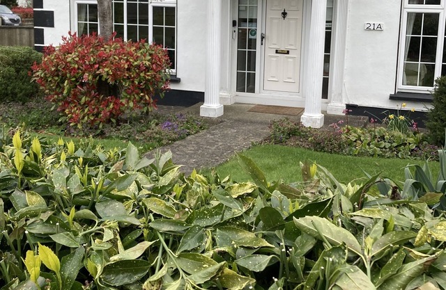 San Augustine Bed & Breakfast