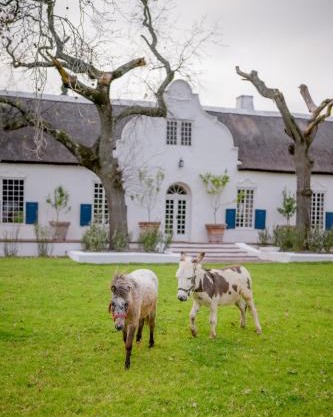 San Gabriel Homestead