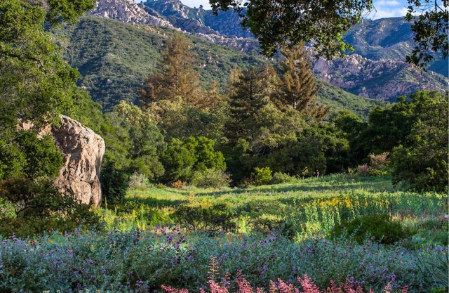 Santa Barbara Botanical Cabin