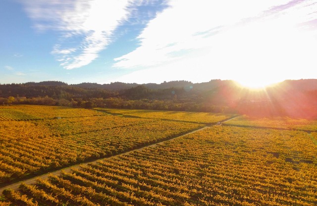 Santini Farmhouse | A Wine Country Escape