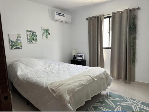 Santo Domingo Tropical Peaceful Escape Ocean Front Near Boca Chica Airport