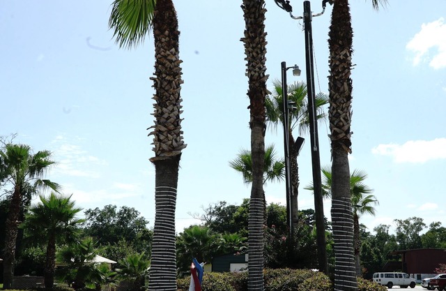 Savannah Inn and Suites