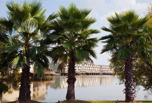 Scenic Carolina Waterfront Rentals - Arco