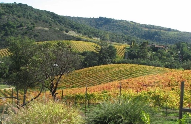 Scenic Hideaway w/Pool, Deck, Hot tub and beautiful Vineyard views