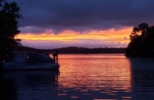 Scenic View Of Lake Yet Close To Downtown Nashville. Swim and fish behind house