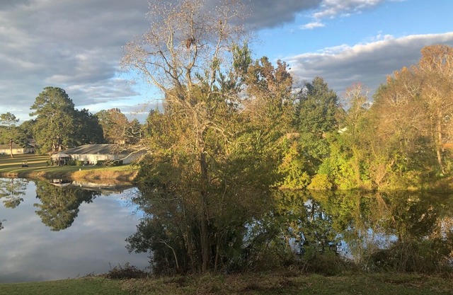 Scenic Waterviews - 2/2 King Condo with pool