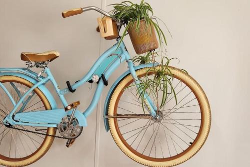 Sea Island Seclusion Marsh View with Beach Pass