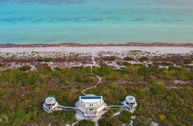 Search for "Pure Nirvana Blue"