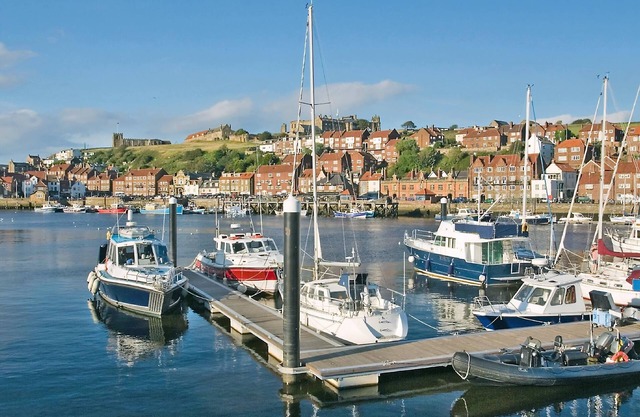 Seaton Mote - UK31992