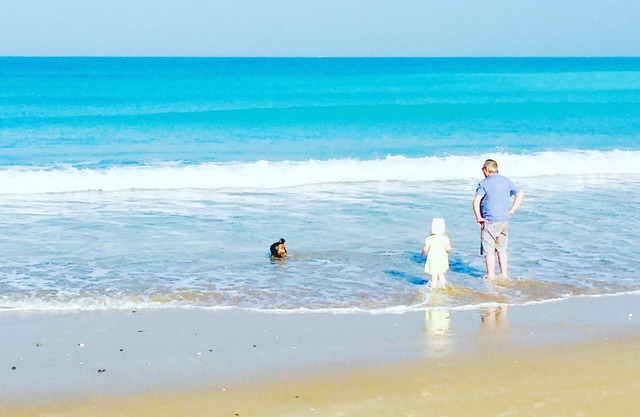 Seaview Sanctuary Studio, Experience the Luxury of Coastal Living