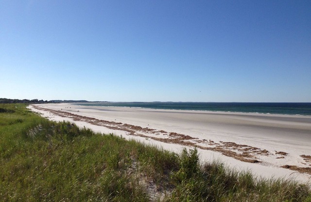 Secluded, 180 Degree View Of Wingaersheek Beach From High Up On The Dunes